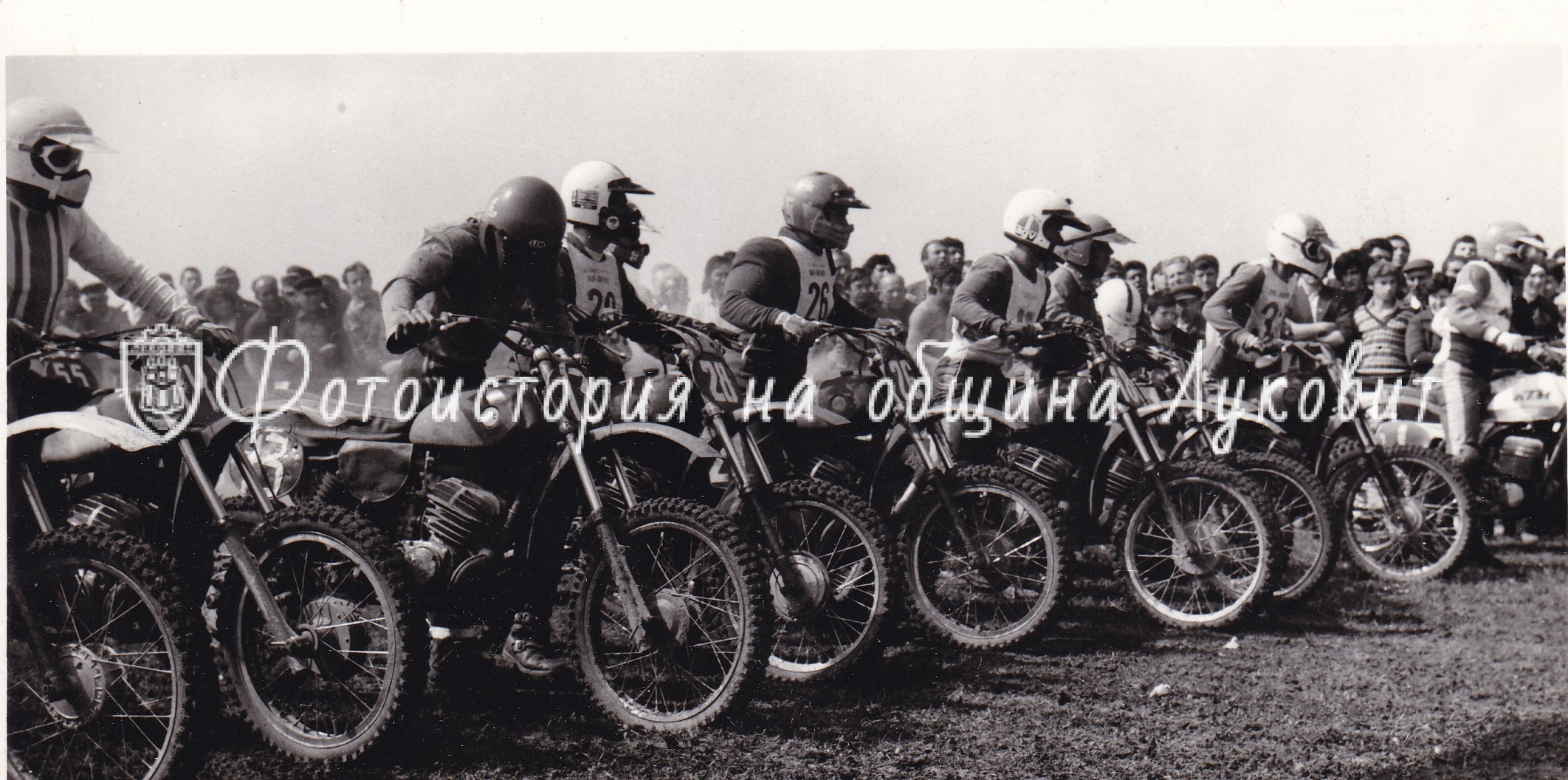 PhotoLukovit